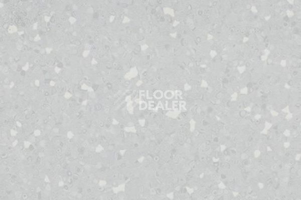Линолеум FORBO Sphera SD 550003 light neutral grey фото 1 | FLOORDEALER